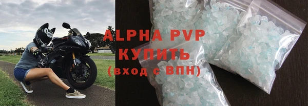 спиды Новодвинск