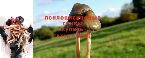 СК Новокубанск