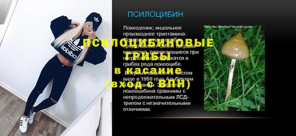 СК Новокубанск