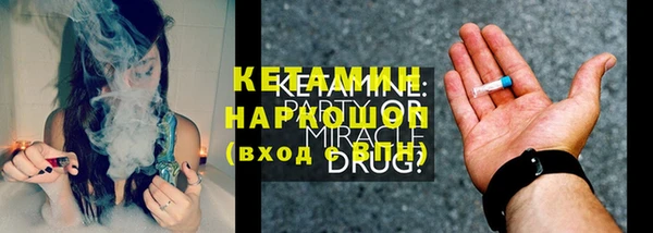 стаф Новозыбков